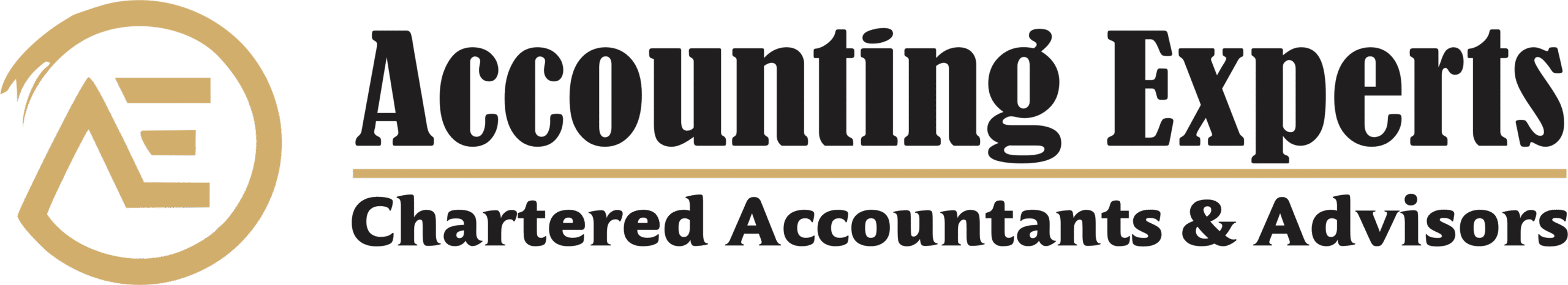 accounting experts email logo2