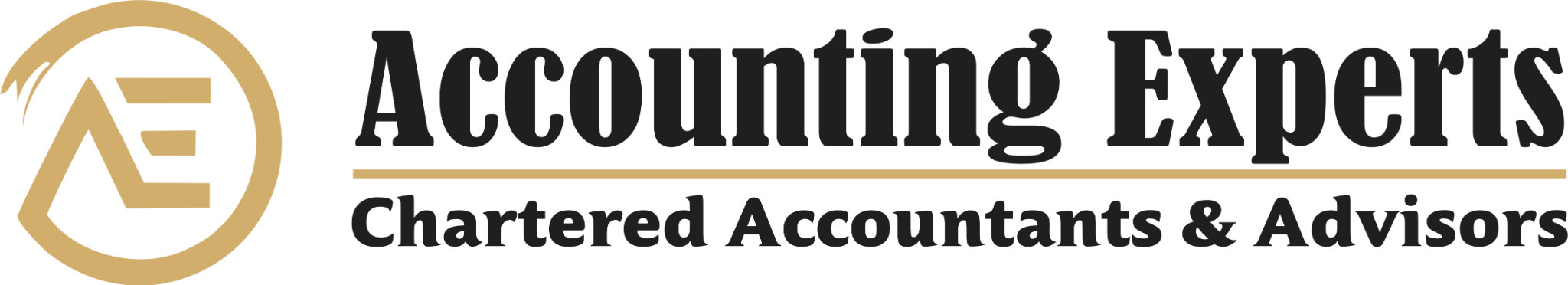 accounting experts logo